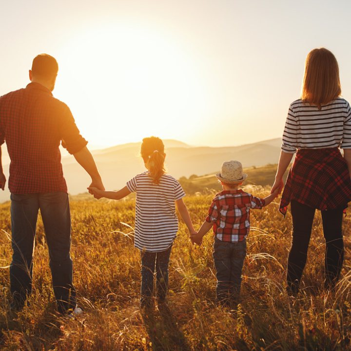 Familie geht Hand in Hand durch ein Feld in den Sonnenuntergang